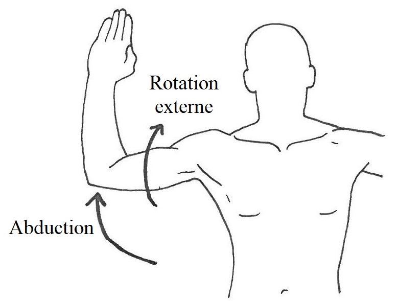 Rotation externe et abduction du bras